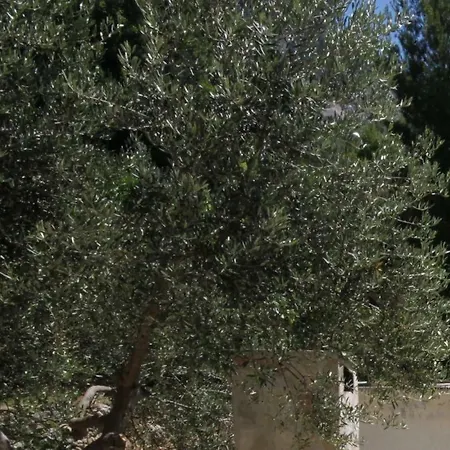 6774a Podgora (Split-Dalmatia)